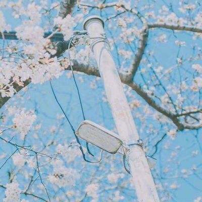 西部荒野生存手游下载