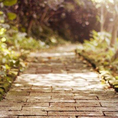 四魂之战手游(Đại Chiến Tứ Hồn)下载